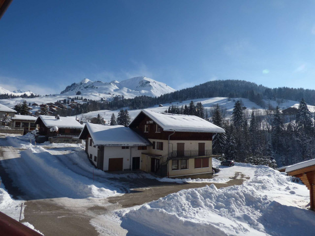 _clients_227445005_photos_36e_4681876