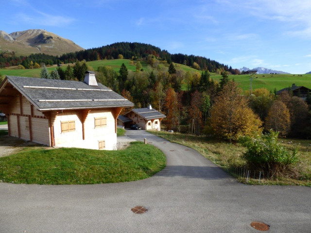 _clients_227445005_photos_36j_4690029