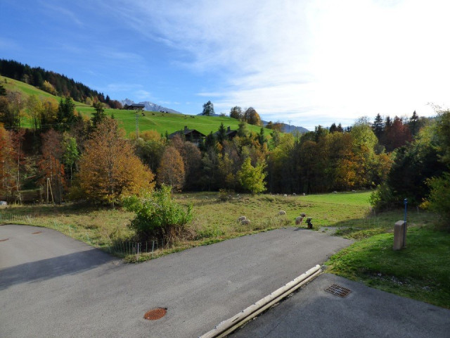 _clients_227445005_photos_36l_4690031