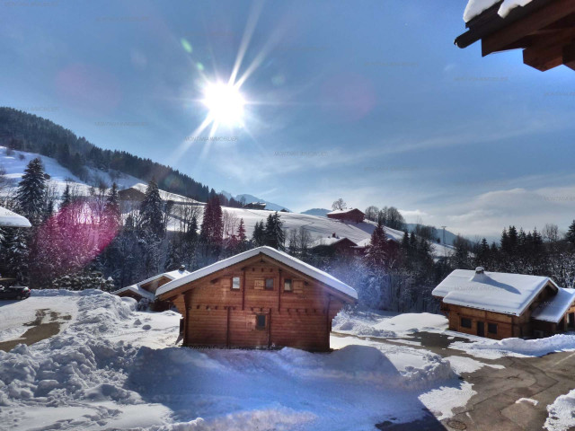 _clients_227445005_photos_36n_4718861 _clients_227445005_photos_36n_4718861