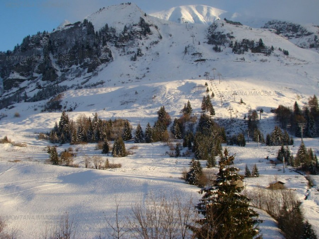 _clients_227445005_photos_38y_5332813