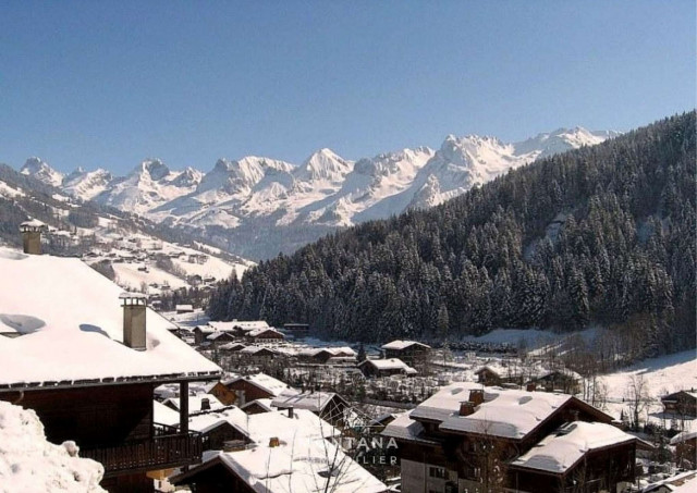 _clients_227445005_photos_46i_4883134