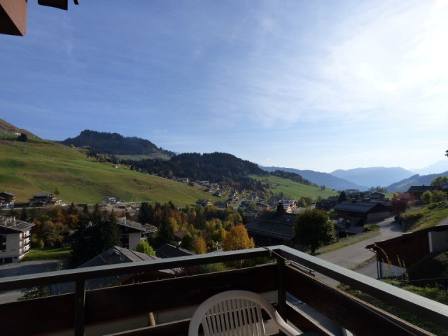 _clients_227445005_photos_49q_4677921