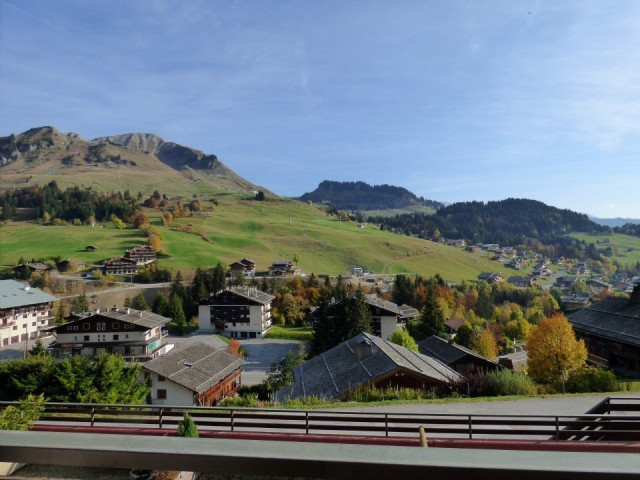 _clients_227445005_photos_49r_4677922