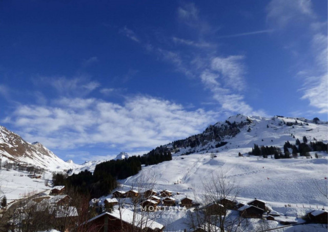 _clients_227445005_photos_51j_4723077 _clients_227445005_photos_51j_4723077