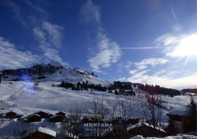 _clients_227445005_photos_51k_4723078 _clients_227445005_photos_51k_4723078