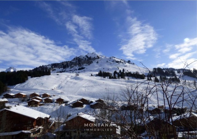 _clients_227445005_photos_51l_4913631