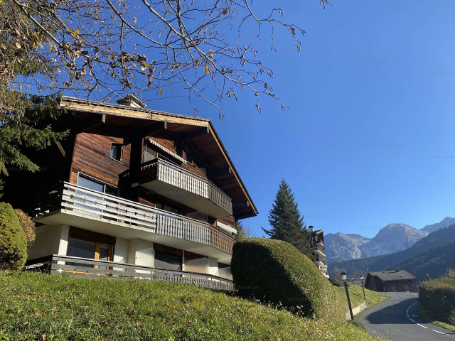 _clients_227445005_photos_52v_5122651