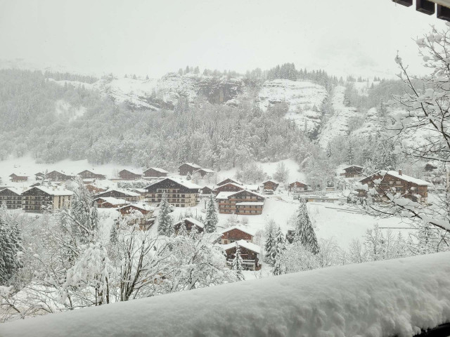 _clients_227445005_photos_54a_4913650