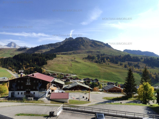 _clients_227445005_photos_56k_5369319