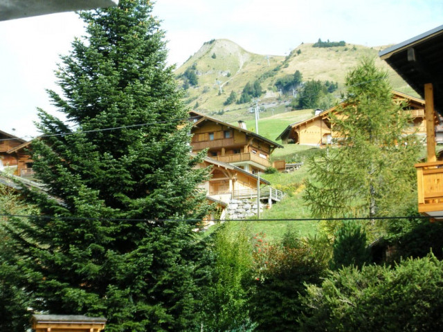 _clients_227445005_photos_57q_5378565 _clients_227445005_photos_57q_5378565