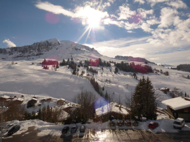 _clients_227445005_photos_60j_5388095