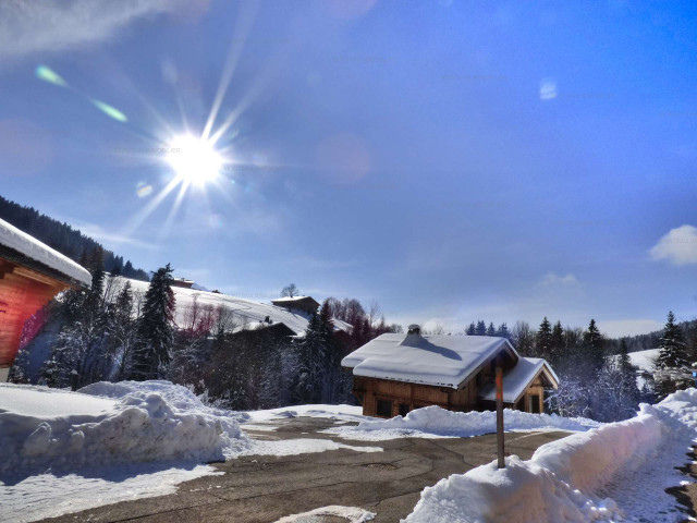 _clients_227445005_photos_63k_4918176 _clients_227445005_photos_63k_4918176