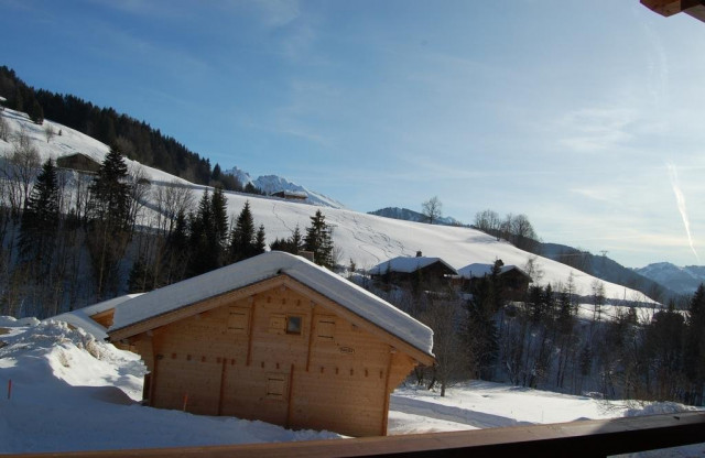 _clients_227445005_photos_63l_4690358 _clients_227445005_photos_63l_4690358