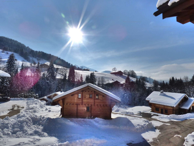 _clients_227445005_photos_63l_5318946 _clients_227445005_photos_63l_5318946