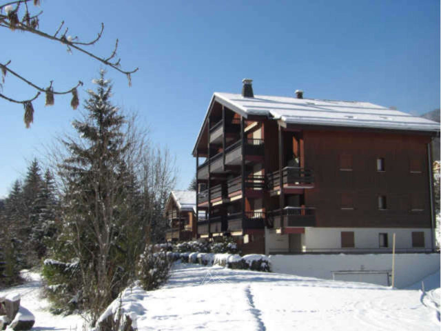 _clients_227445005_photos_64k_4678153 _clients_227445005_photos_64k_4678153