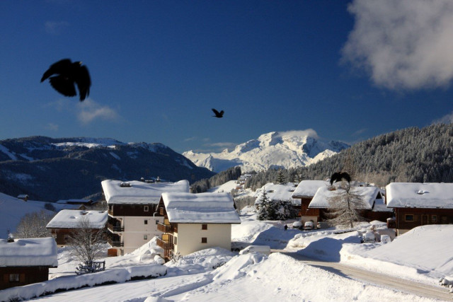 _clients_227445005_photos_71g_5122887