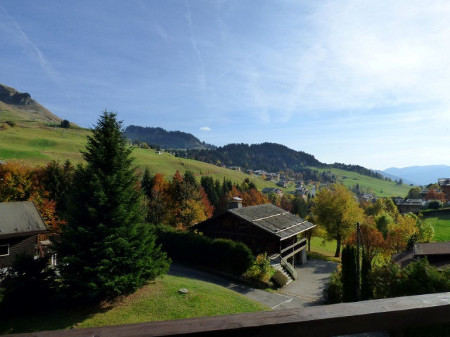 _clients_227445005_photos_71i_5369515 _clients_227445005_photos_71i_5369515