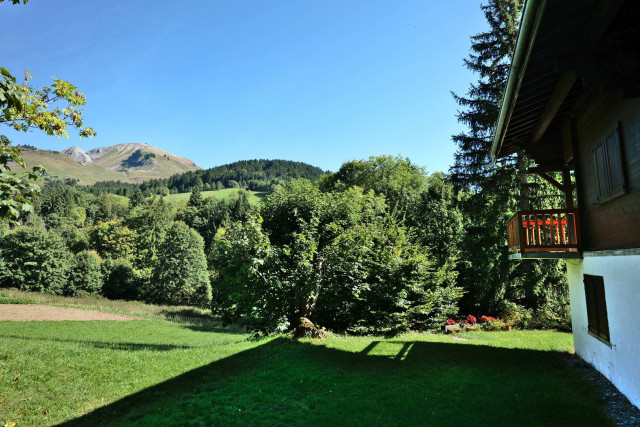 _clients_227445005_photos_7n_5122872