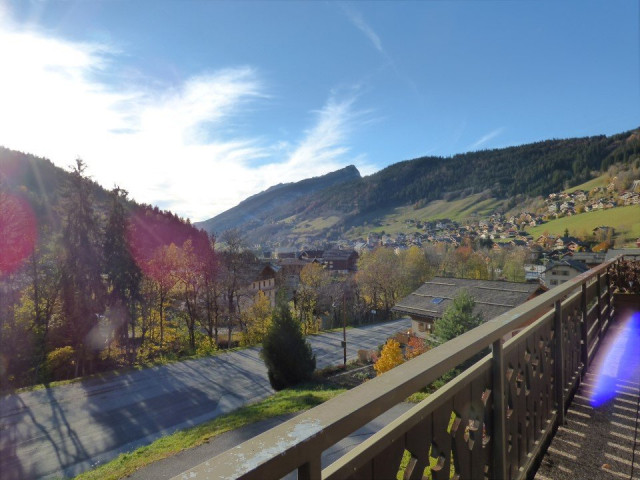 _clients_227445005_photos_82y_5383579