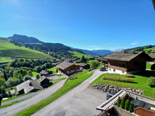 _clients_227445005_photos_89s_5337865