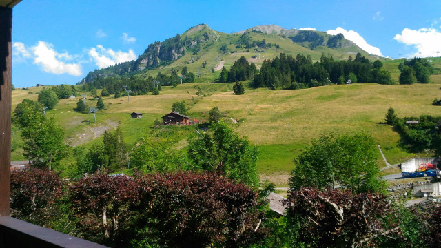 chinaillon-balcon-3363044 chinaillon-balcon-3363044