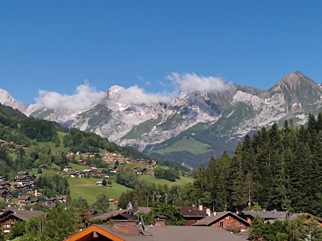 img-20210711-181650-321879 img-20210711-181650-321879