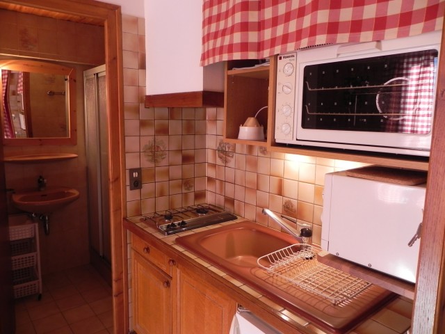 la roseraie 2 pièces 4 personnes le grand bornand village la roseraie 2 pièces 4 personnes le grand bornand village