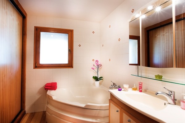 Bathroom rental apartment snowbaur upper part le grand bornand