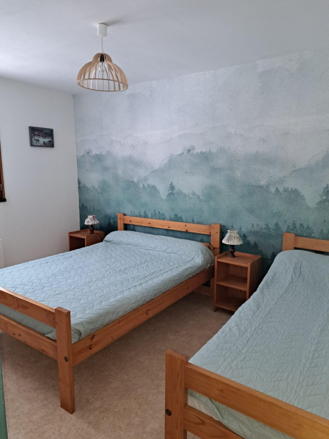 location les 3 bouquetins 7 personnes le grand bornand chinaillon