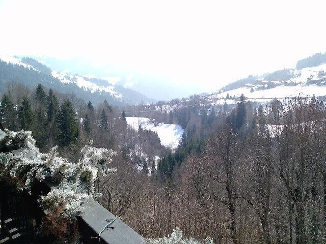 p1413-14-03-14-441328 p1413-14-03-14-441328