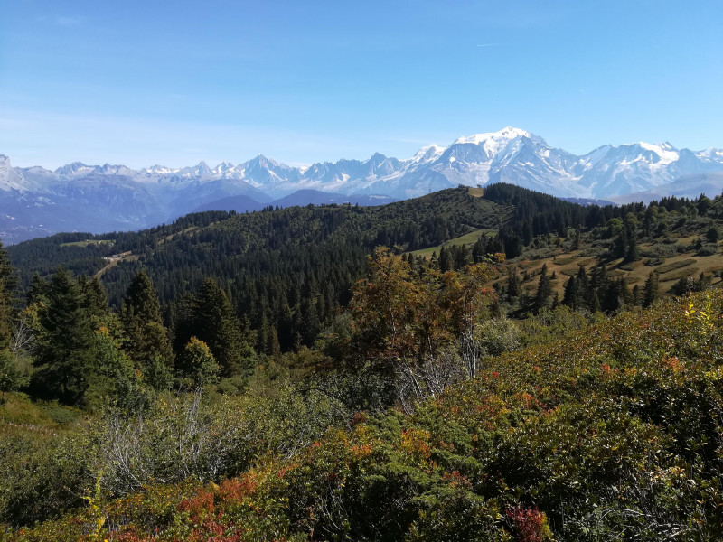 Rando 1/2 journée Vue sur le mont Blanc niveau facile