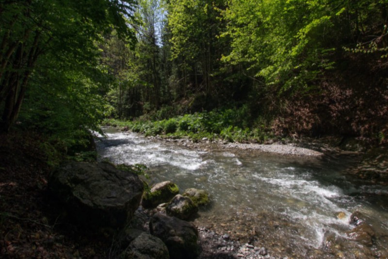 chercheurs-d-or-381870 chercheurs-d-or-381870