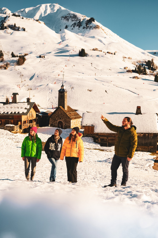 dsf2701-3342952 dsf2701-3342952