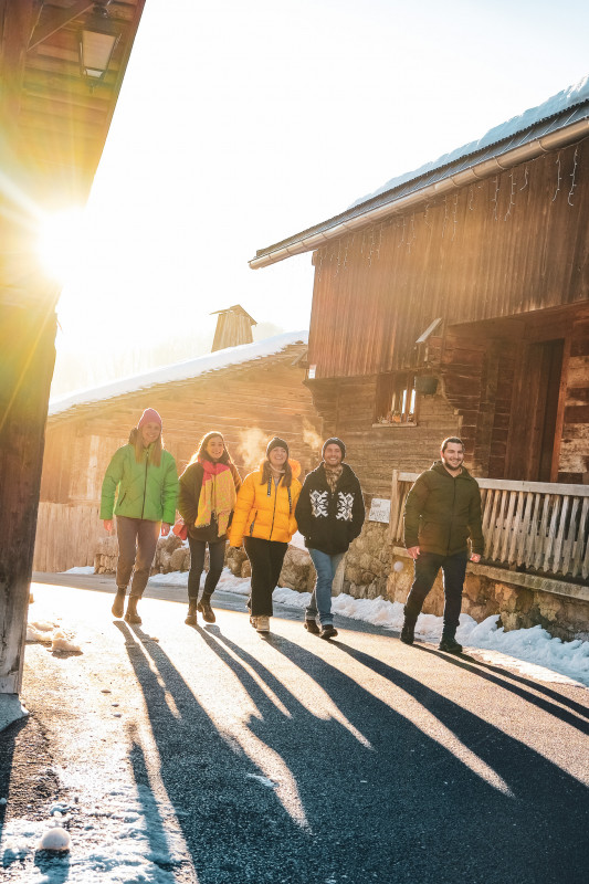 dsf2891-3342953 dsf2891-3342953