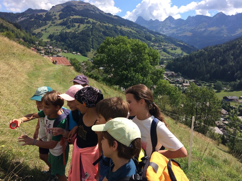 pties-betes-301729 pties-betes-301729