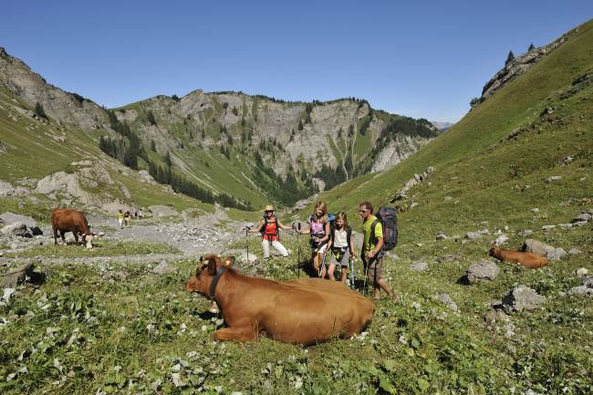 nature-paysage-1-9992